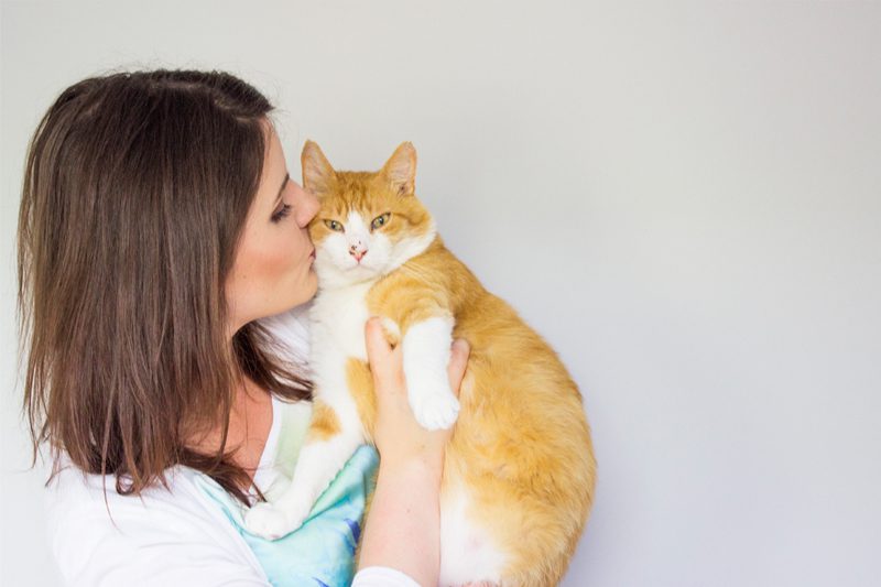 zdrowa żywienie kota -  zdrowa karma dla kota - jak odchudzić kota?  agu blog
